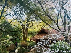 -中国茶叶博物馆(双峰馆区)