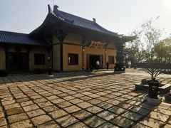 -平湖九龙山旅游度假区