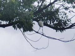 -上海植物园-4号门售票处