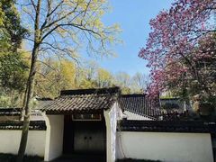 -宋宴(虎跑店)