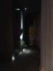点击看大图 -美壹生皮肤管理中心