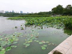 -尚贤河湿地