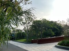 -深圳湾公园(南山区)