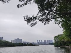 -南宁南湖公园