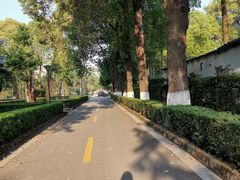 -四川大学(华西校区)