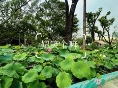 -云溪植物园