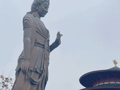 -阳澄湖半岛旅游度假区