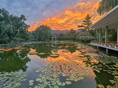 -国家植物园南园