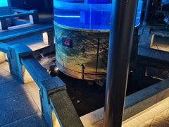 -佬麻雀·剁椒鱼头(京基KK One店)