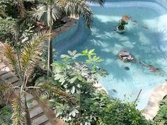 -黑龙江中医药大学附属第一医院