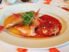 清蒸东星斑-宝丽轩中餐厅BAOLIXUAN