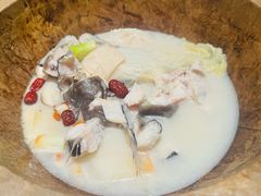 -云荷里·蒸汽石锅鱼·云南菜(中发百旺店)