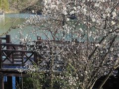 -白马涧龙池景区