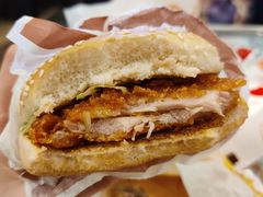 小炒肉风味麦辣鸡腿汉堡-麦当劳(未来城购物中心店)