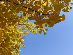 -长白岛森林公园