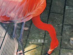 -太原动物园