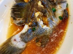 清蒸石斑鱼-渔中舟海鲜大排档(普陀沈家门店)