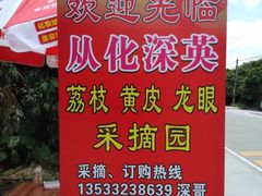 -从化深英荔枝黄皮龙眼采摘园