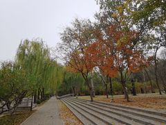 -元大都城垣遗址公园