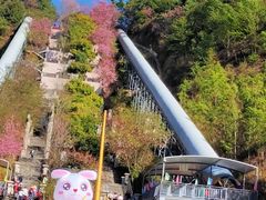 -墨江北回归线标志园