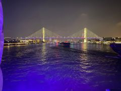 -新龙船黄浦江餐饮游船官方自营店