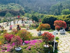 -东莞植物园