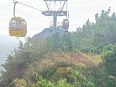 -摩天岭风景区