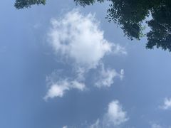 -尚贤河湿地