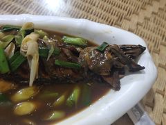 -向民炒鸡老店(火车站店)