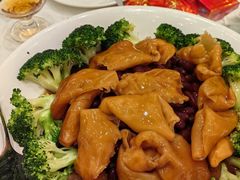 -龙悦湾酒家·八阵鱼生·渔人码头店