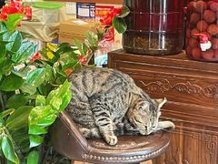 -虎哥私房菜(馒头山店)