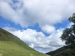 -大姆山草场