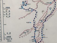 -铁山坪森林公园