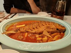 -阿五黄河大鲤鱼(英协路店)