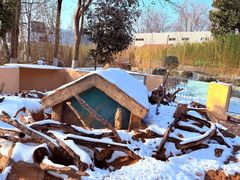 -合肥野生动物园