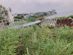 -南诏风情岛