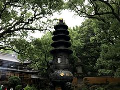 -普陀山风景名胜区-法雨禅寺