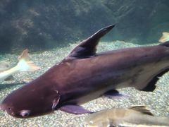 -太平洋海底世界