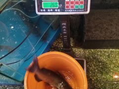 -粗粮人家·东北菜(洋桥店)