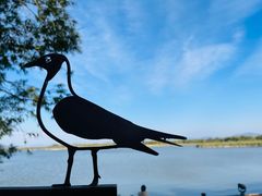 -野鸭湖国家湿地公园