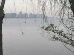 -艾溪湖湿地公园