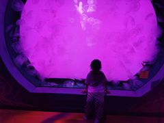 -沈阳海洋探索中心