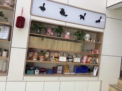 -凯瑞希宠物医院·狂犬免疫·微创·皮肤科