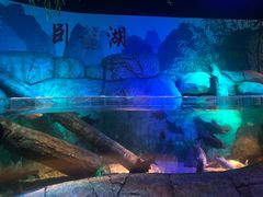 -沈阳海洋探索中心