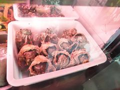 -洪记白水羊头(天坛店)