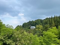 -莫干山风景区