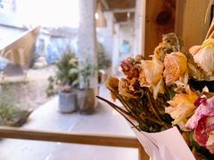 -Jo's Garden