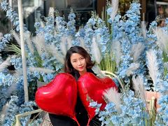 -中粮·祥云小镇