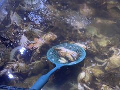 -聚盛源蒸汽海鲜火锅烤肉自助(巨川金海岸购物广场店)