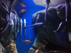 -成都浩海立方海洋公园